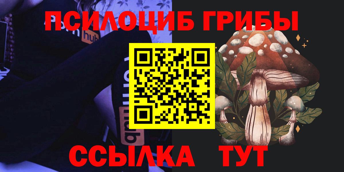 Псилоцибиновые грибы GOLDEN TEACHER  Вход с VPN  Волоколамск 